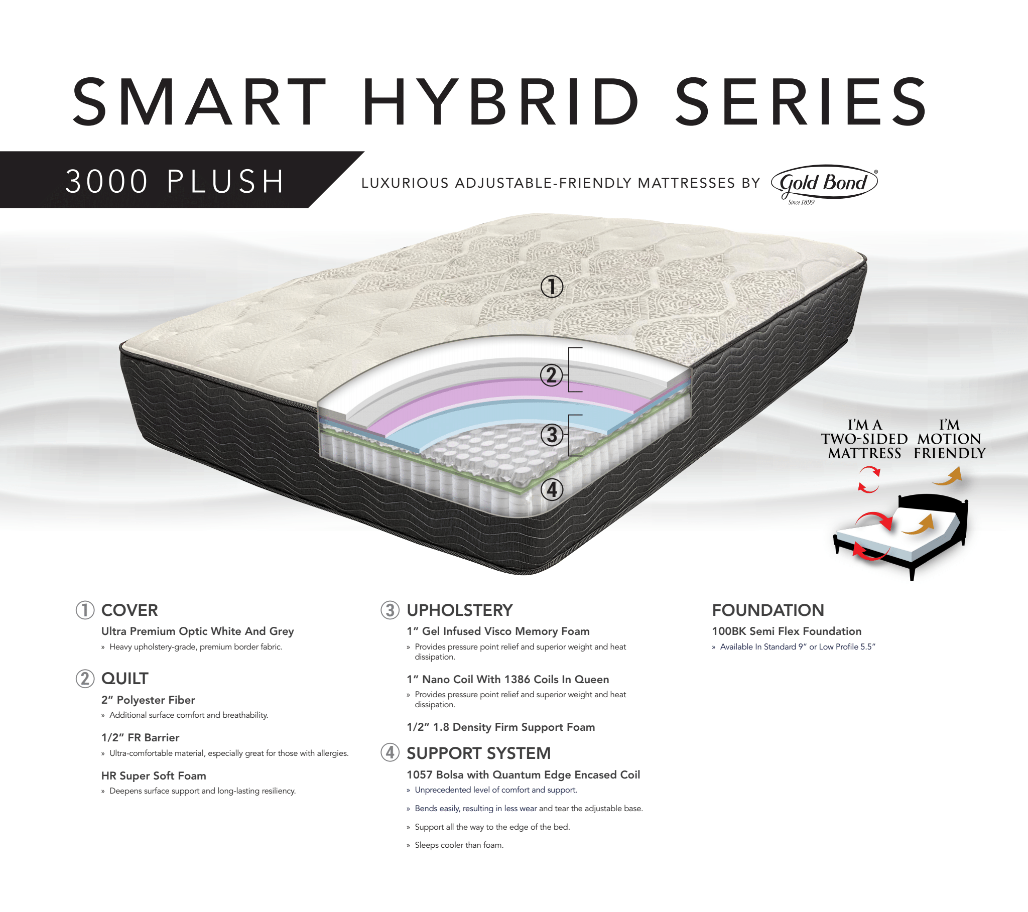 smart hybrid 3000